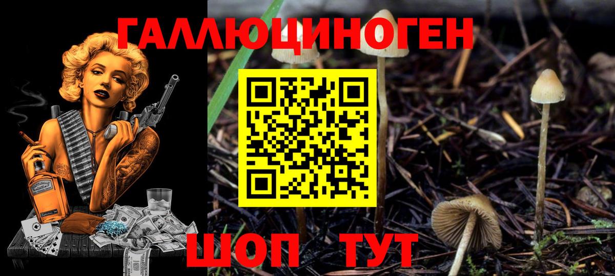 Галлюциногенные грибы Cubensis Топки